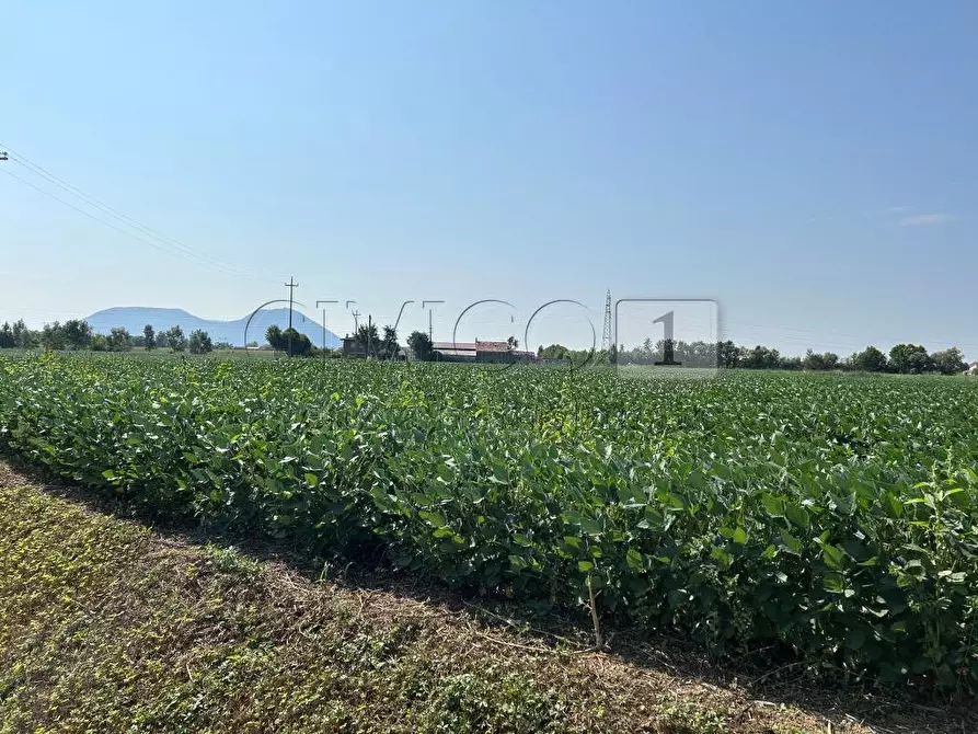 Immagine 13 di Terreno agricolo in vendita  in Via Volpara a Castegnero