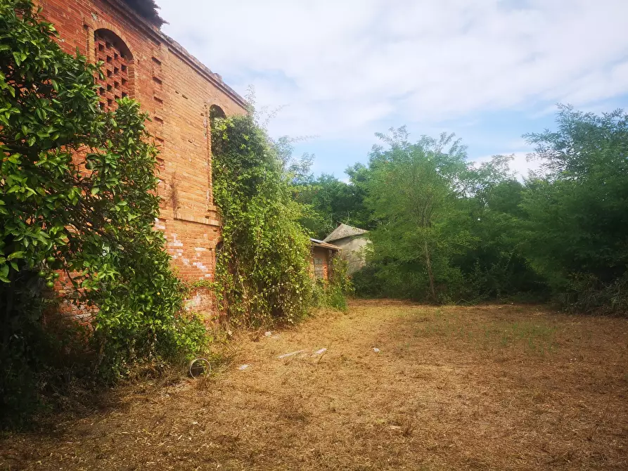 Immagine 9 di Rustico / casale in vendita  in Via Tavolara 59 a Castelnuovo Magra