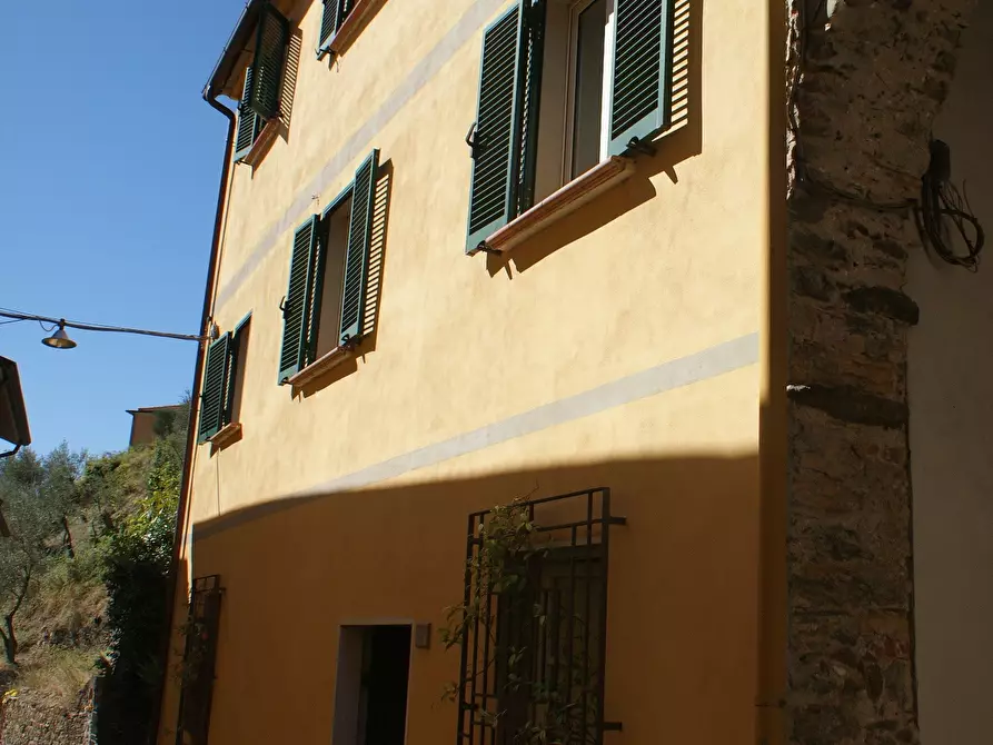 Immagine 49 di Villa in vendita  in Via Annunziata a Ortonovo