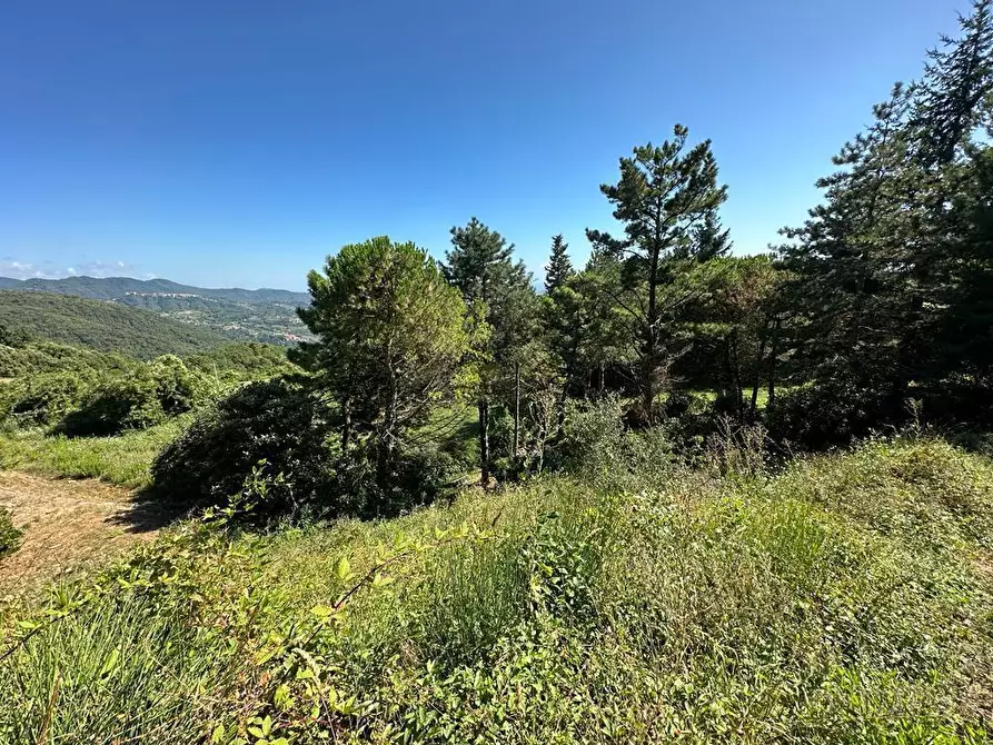 Immagine 27 di Villa in vendita  in Via Pianaccia a Fosdinovo