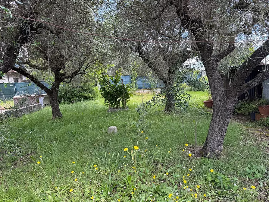 Immagine 12 di Casa semindipendente in vendita  in Via dei Pini 2 a Ortonovo