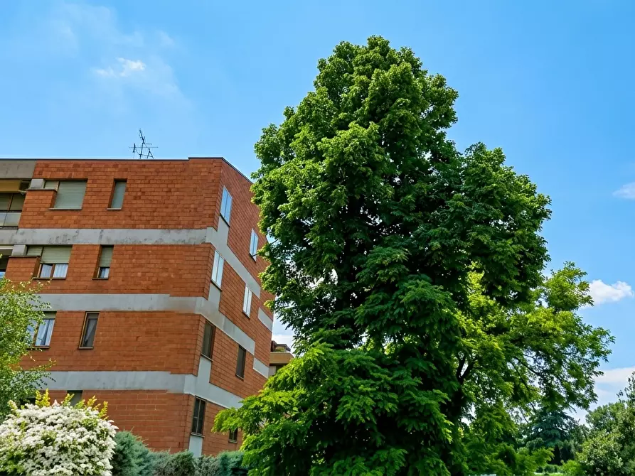 Immagine 7 di Bilocale in affitto  a Bologna