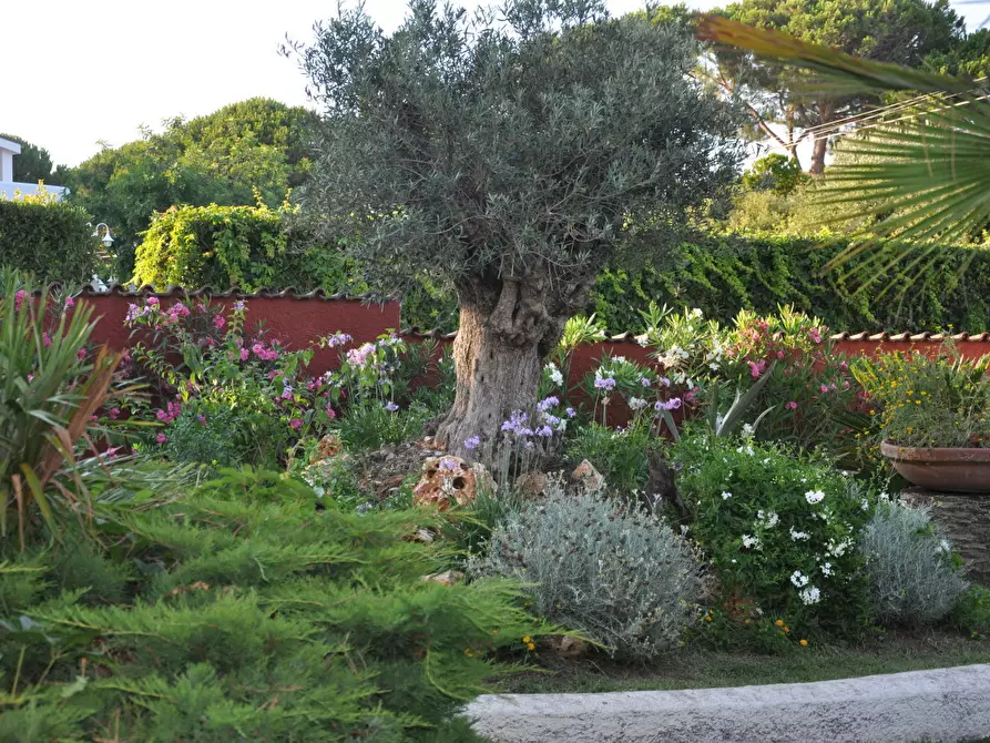 Immagine 13 di Casa bifamiliare in vendita  in Via Terracina 144 a San Felice Circeo