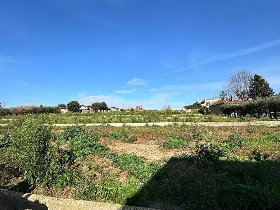 Immagine 13 di Terreno agricolo in vendita  in Via Monte Circeo 21 a San Felice Circeo