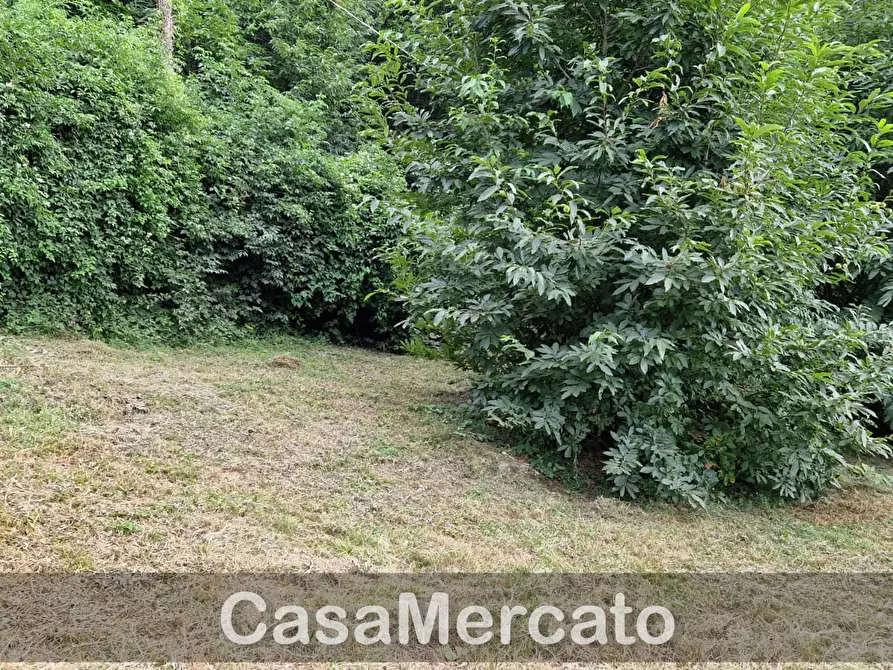 Immagine 1 di Terreno agricolo in vendita  in Via della Faeta a Rocca Di Papa