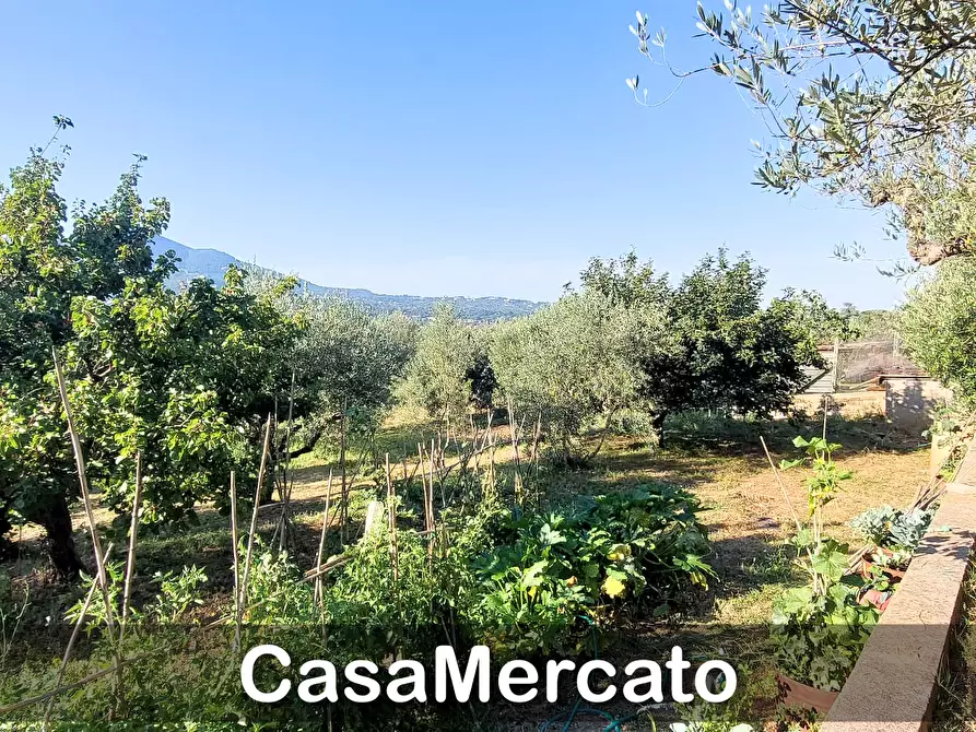 Immagine 19 di Rustico / casale in vendita  in Via del Tuscolo a Grottaferrata