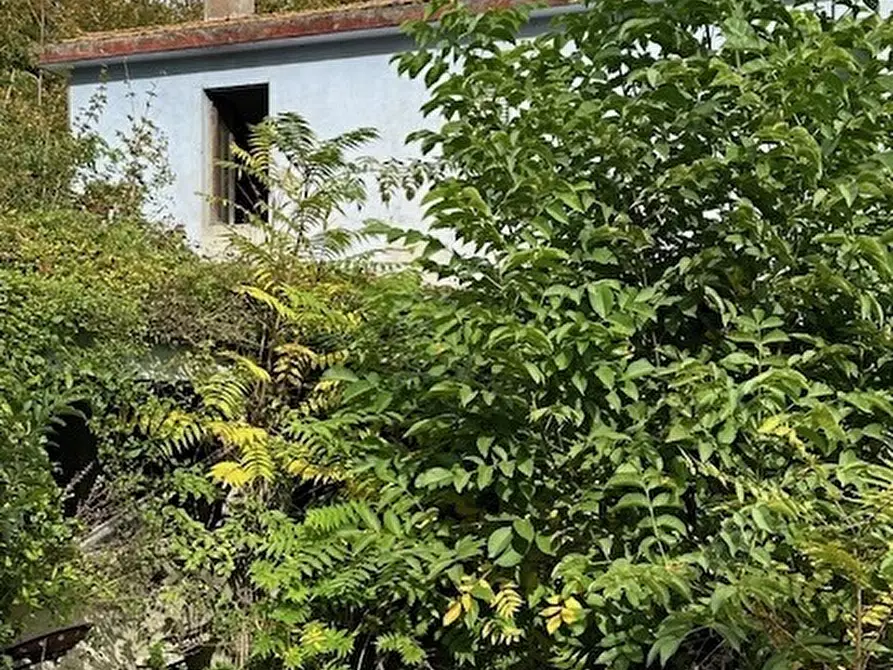 Immagine 5 di Rustico / casale in vendita  a Ripatransone