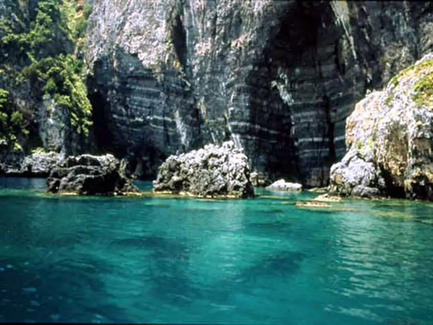 Immagine 4 di Attività commerciale in vendita  a Salerno