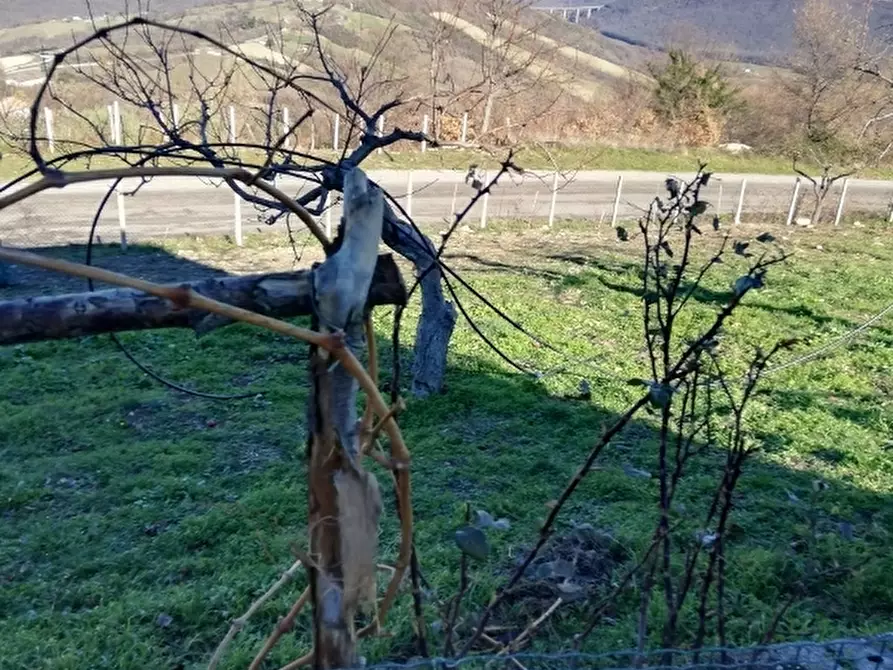 Immagine 24 di Rustico / casale in vendita  a San Fele