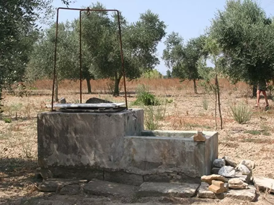 Immagine 9 di Terreno agricolo in vendita  in contrada mandrò a Cutrofiano