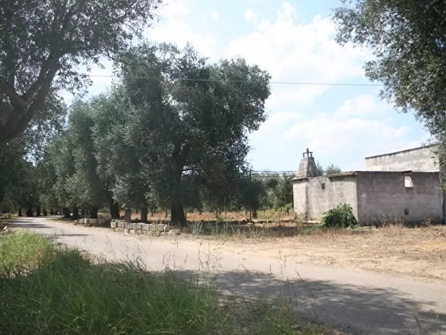 Immagine 30 di Terreno agricolo in vendita  in contrada mandrò a Cutrofiano