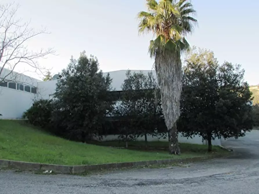 Immagine 25 di Capannone industriale in affitto  in Via Leonardo Da Vinci a San Benedetto Del Tronto