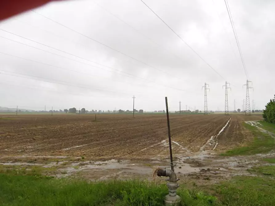 Immagine 4 di Terreno agricolo in vendita  a Falconara Marittima