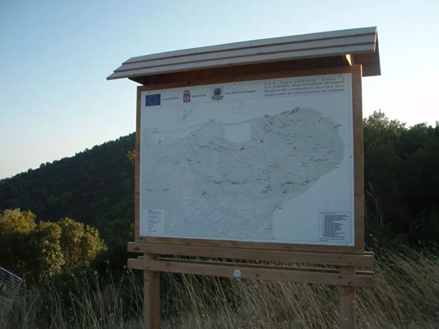Immagine 14 di Terreno agricolo in vendita  a Mattinata