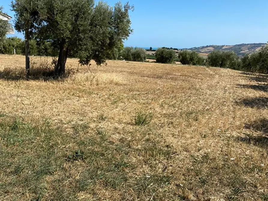 Immagine 15 di Terreno edificabile in vendita  a Colonnella