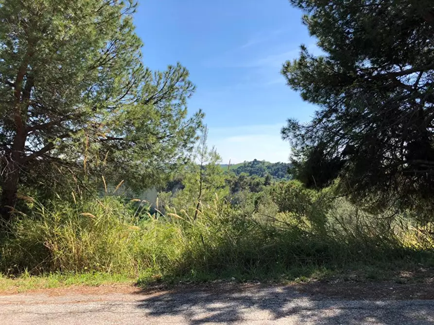 Immagine 7 di Terreno edificabile in vendita  a Grottammare