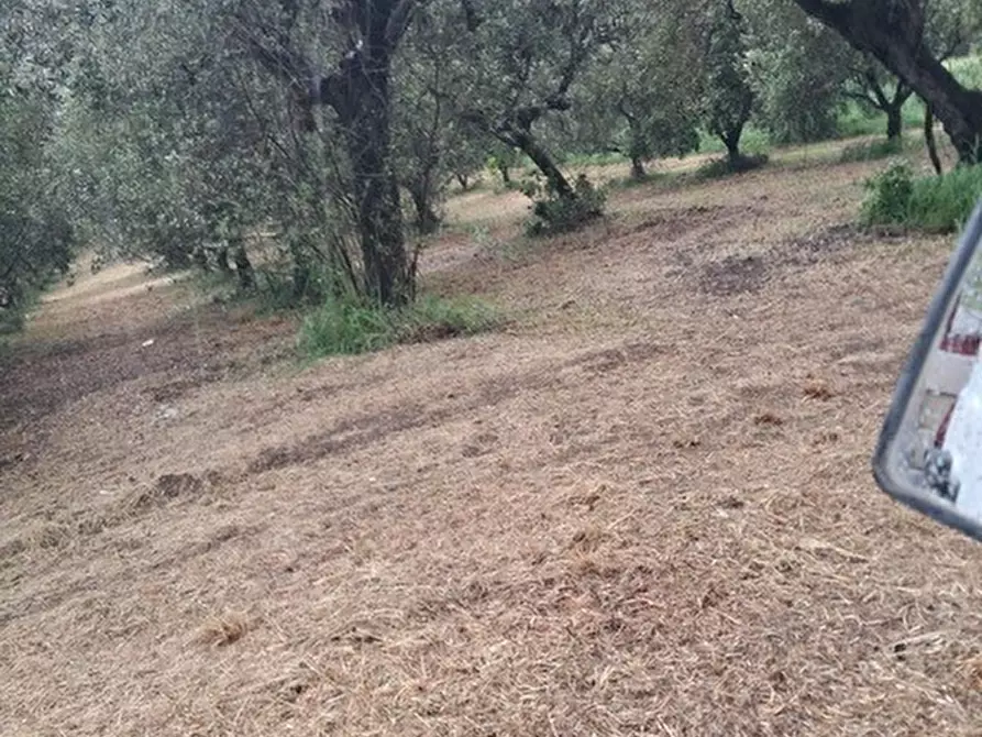 Immagine 11 di Terreno edificabile in vendita  a Colonnella