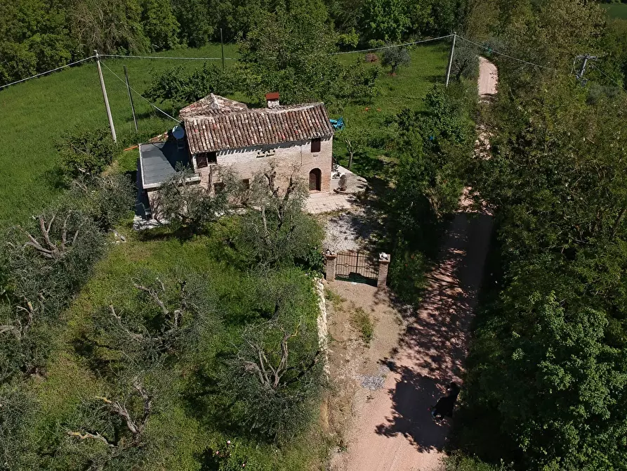 Immagine 2 di Rustico / casale in affitto  a Monsampietro Morico