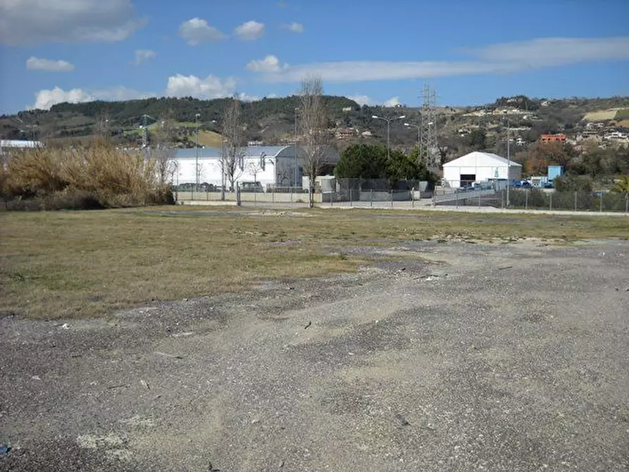 Immagine 5 di Terreno agricolo in affitto  a Grottammare