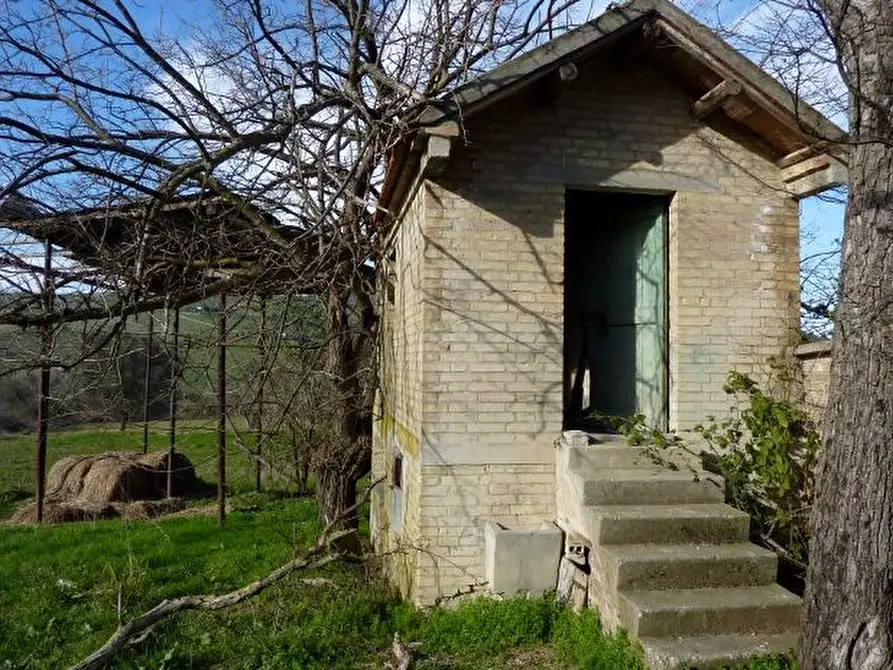Immagine 15 di Rustico / casale in vendita  a Offida