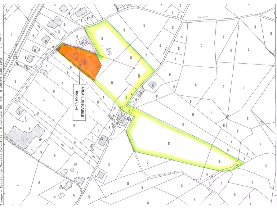 Immagine 4 di Terreno agricolo in vendita  in c.da S. Angelo di Ripaberarda a Castignano