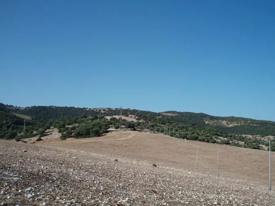 Immagine 5 di Casa indipendente in vendita  in Litoranea Mattinata-Vieste a Mattinata