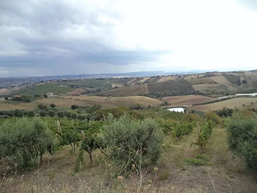 Immagine 21 di Casa indipendente in vendita  a Colonnella