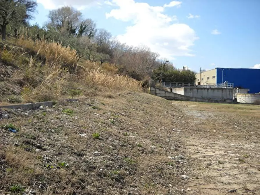 Immagine 12 di Terreno agricolo in affitto  a Grottammare