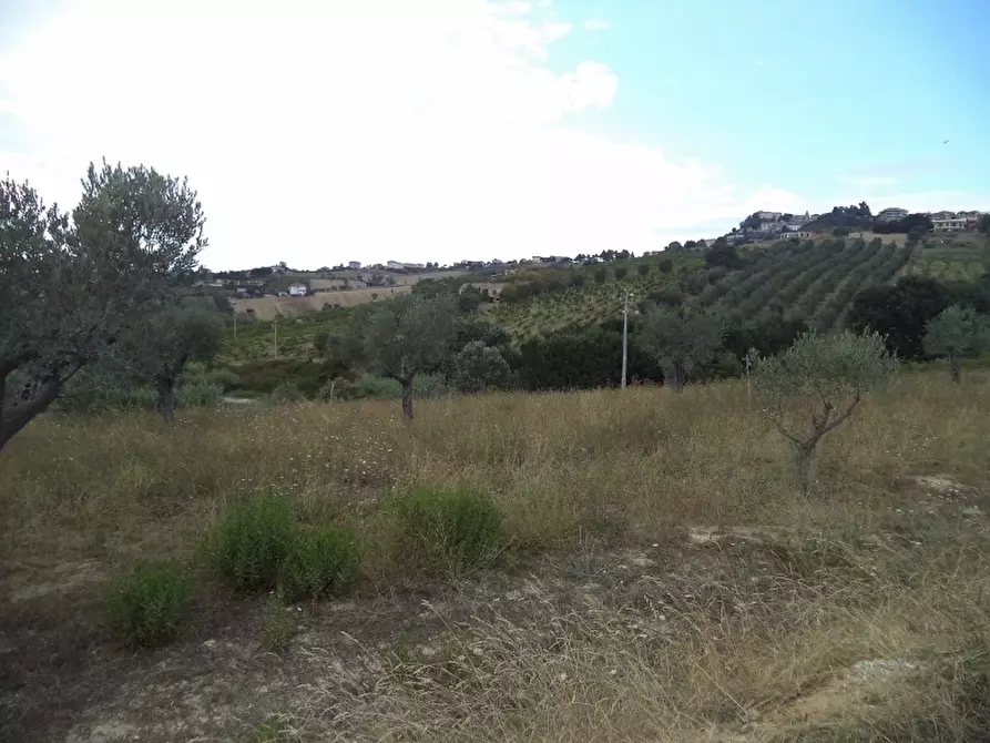 Immagine 19 di Terreno agricolo in vendita  a Colonnella