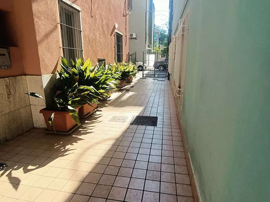 Immagine 12 di Appartamento in affitto  a San Benedetto Del Tronto