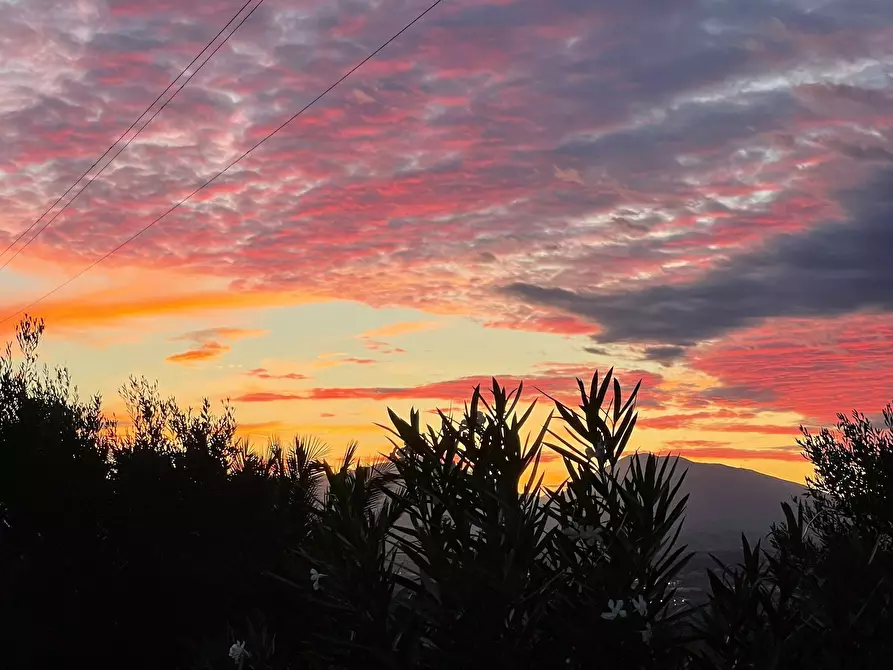 Immagine 30 di Casa indipendente in vendita  a Morro D'oro