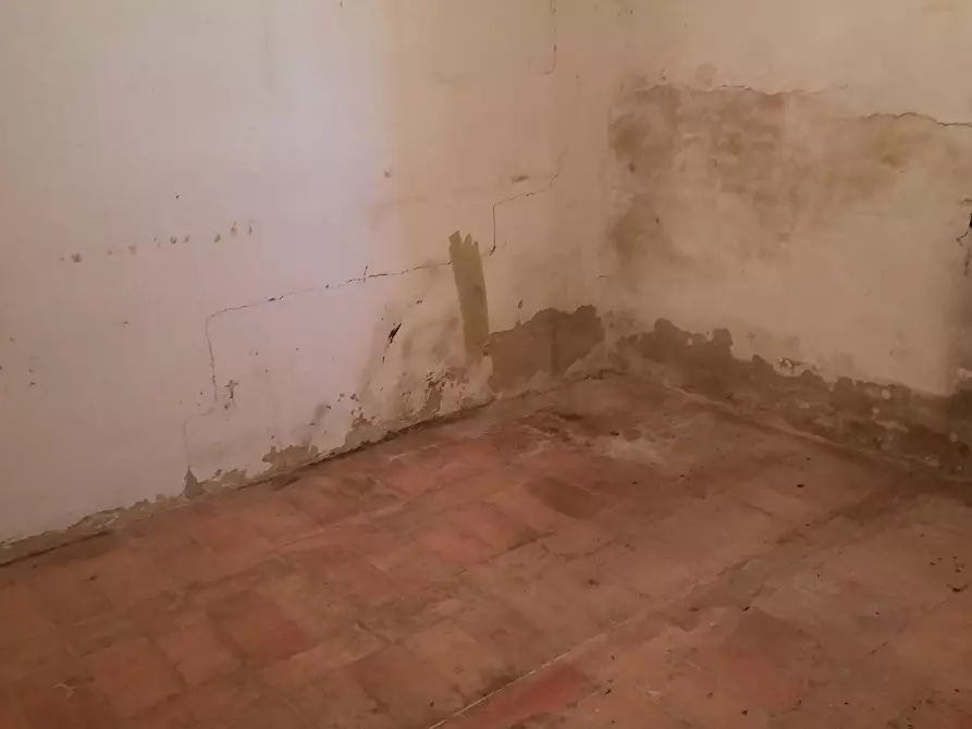 Immagine 21 di Rustico / casale in vendita  a Carassai