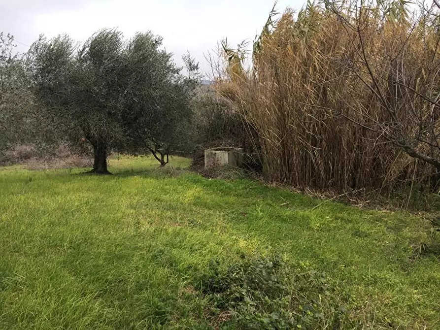 Immagine 6 di Terreno edificabile in vendita  in Vicolo Matteotti Secondo a Monteprandone