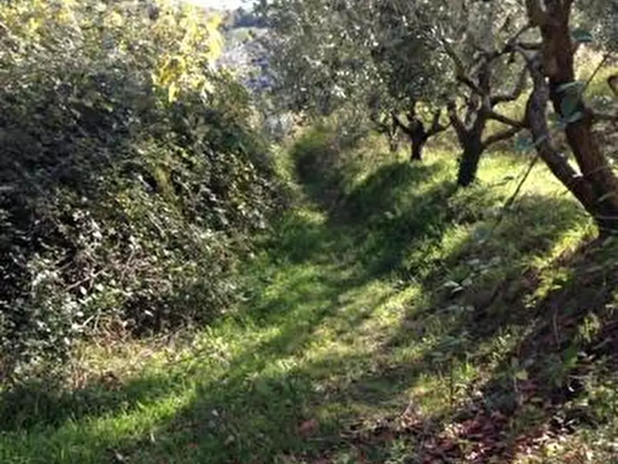 Immagine 4 di Rustico / casale in vendita  a San Benedetto Del Tronto