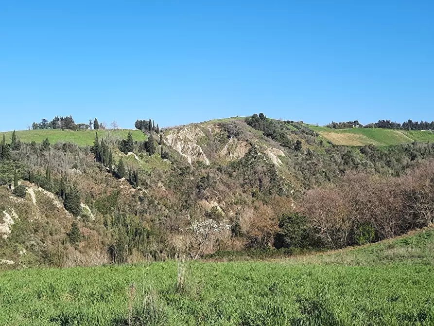 Immagine 3 di Casa indipendente in vendita  in cantina Cocci Grifoni a Ripatransone