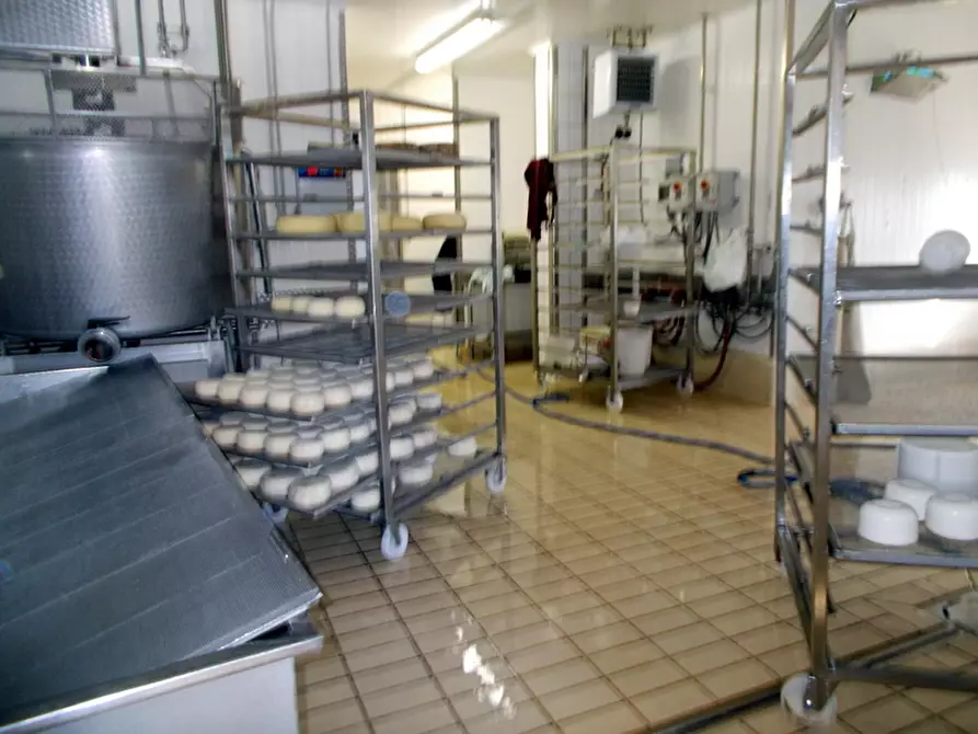 Immagine 4 di Laboratorio in vendita  a Maltignano