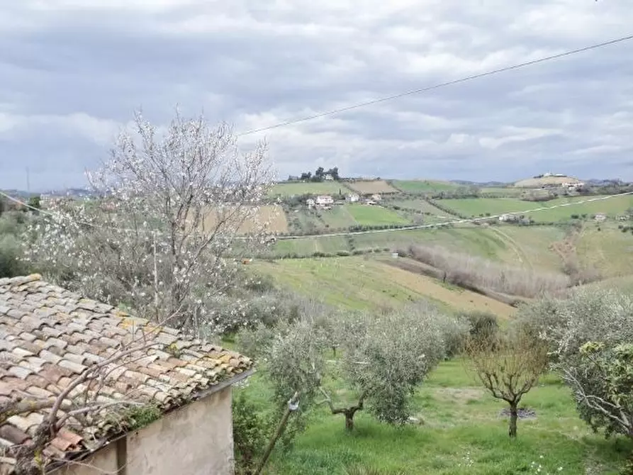 Immagine 25 di Rustico / casale in vendita  a Monsampolo Del Tronto