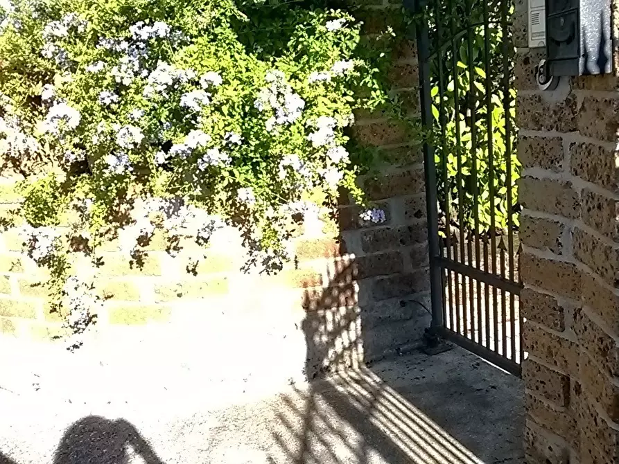 Immagine 34 di Villa in vendita  a Campli