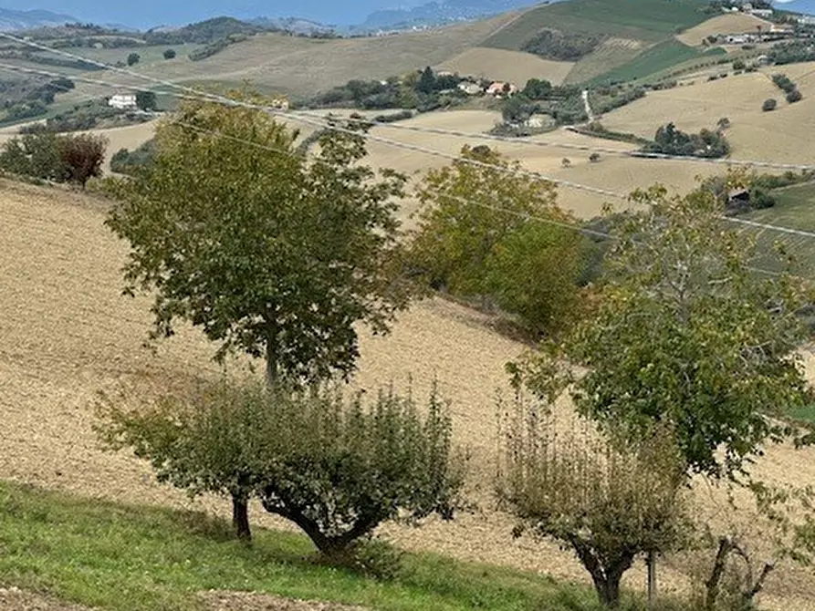 Immagine 38 di Casa bifamiliare in vendita  a Carassai