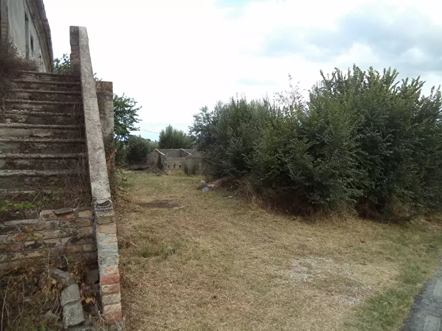 Immagine 10 di Rustico / casale in vendita  in Strada Provinciale 3 868 a Colonnella