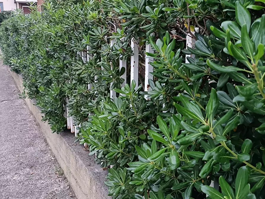 Immagine 34 di Casa indipendente in vendita  a Ascoli Piceno