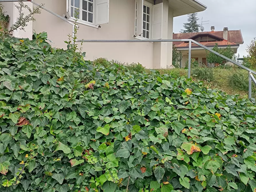 Immagine 44 di Casa indipendente in vendita  a Folignano