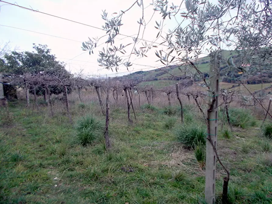 Immagine 21 di Rustico / casale in vendita  a San Benedetto Del Tronto