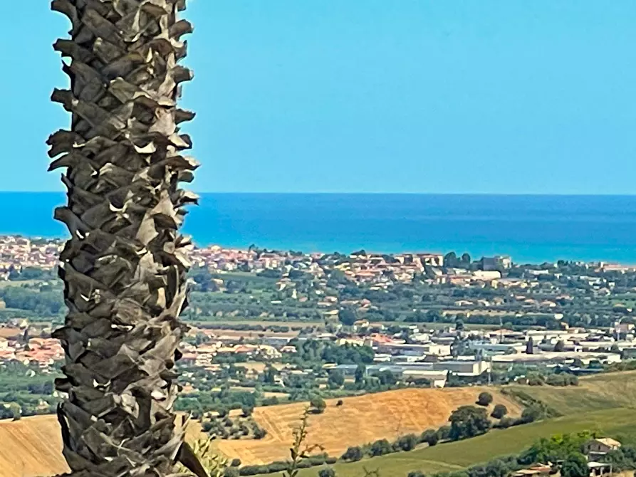 Immagine 45 di Casa indipendente in vendita  a Morro D'oro