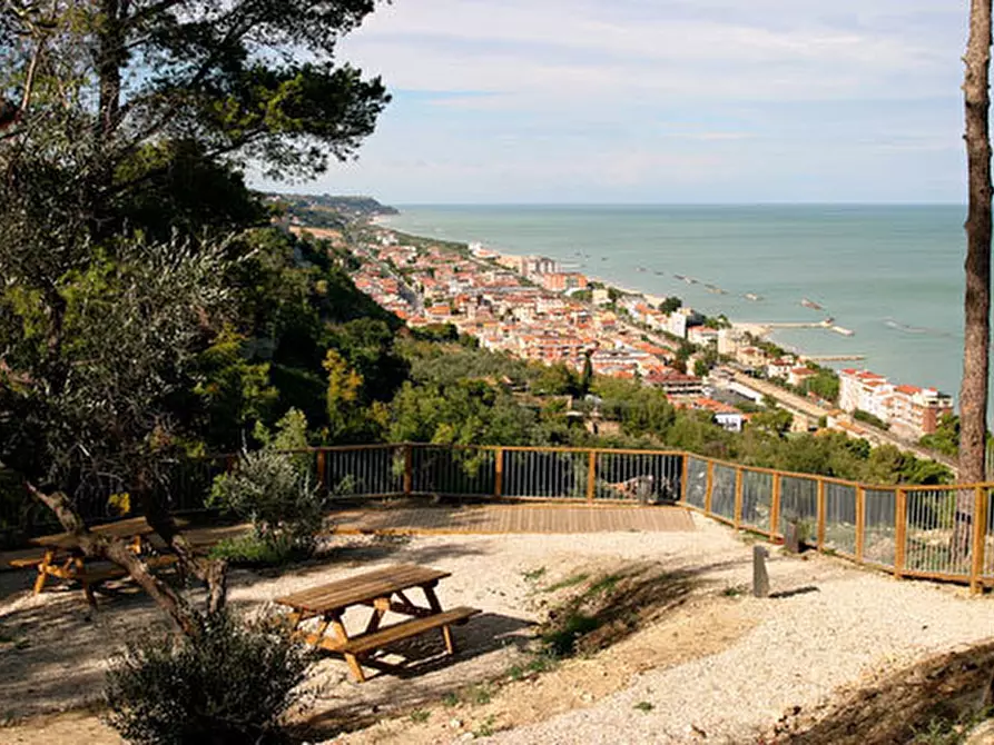 Immagine 4 di Attività commerciale in vendita  a Cupra Marittima