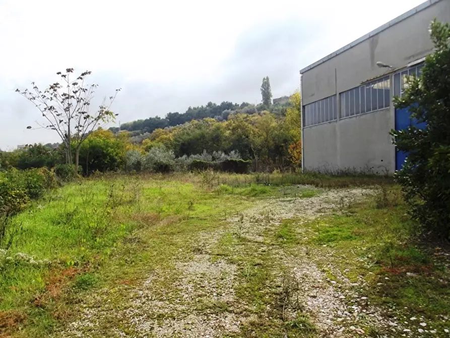 Immagine 6 di Capannone industriale in affitto  a Acquaviva Picena