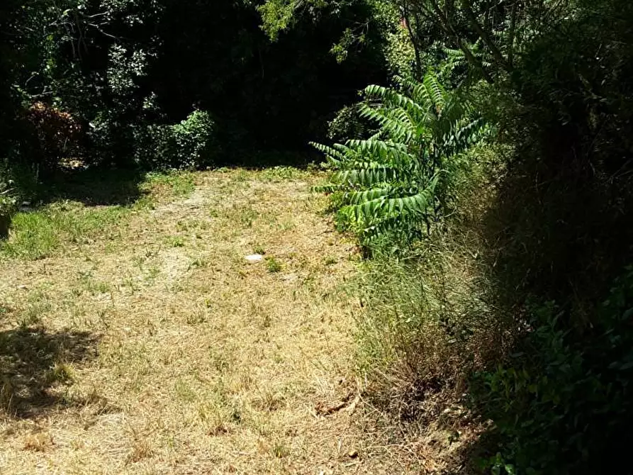 Immagine 14 di Casa indipendente in vendita  a Cupra Marittima