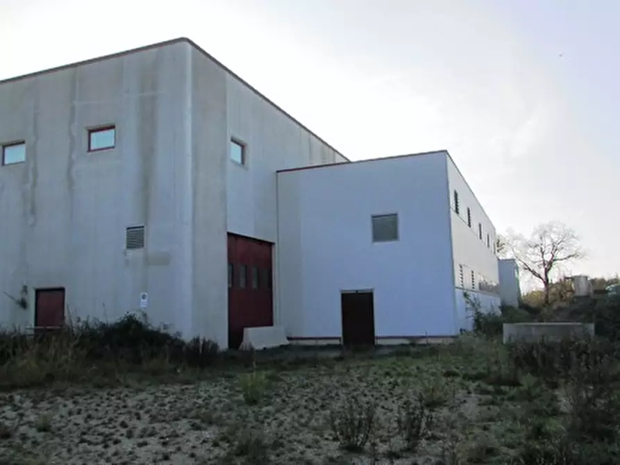 Immagine 3 di Capannone industriale in vendita  a Colonnella