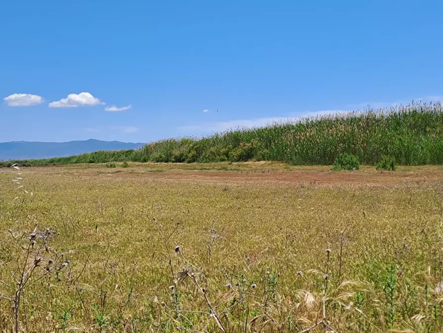 Immagine 9 di Terreno agricolo in vendita  a Quartu Sant'elena