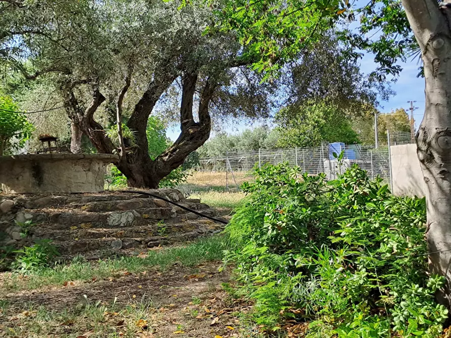 Immagine 1 di Terreno agricolo in vendita  a Quartucciu